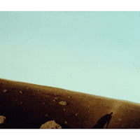 Landscape, 1983