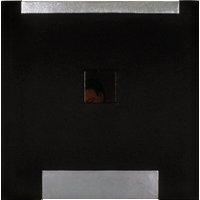Naturae Pondus, 1987
