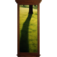 Morning, 2000